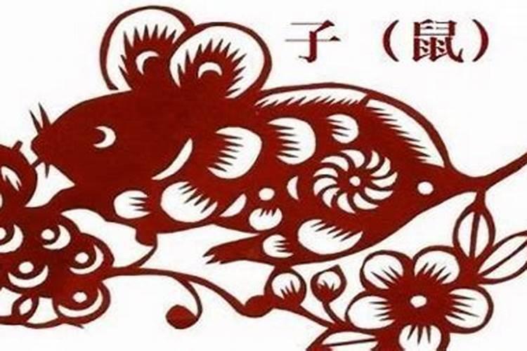 属鼠本命年前一年特别倒霉是真的吗