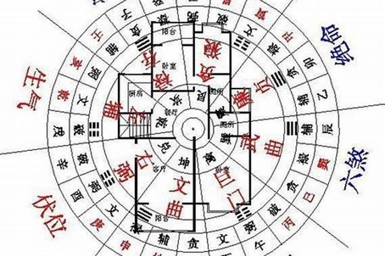 1992年2月4号立春那天到到底什么属相啊？？？