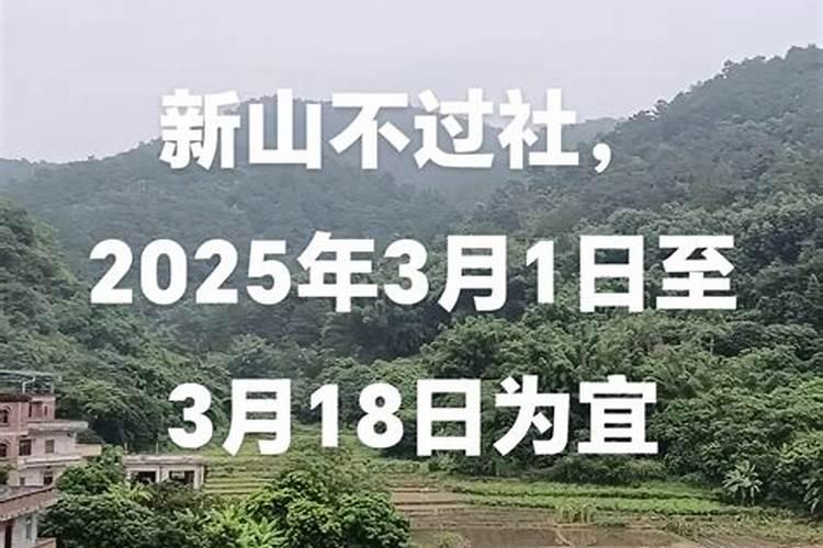 《快乐的节日》教案