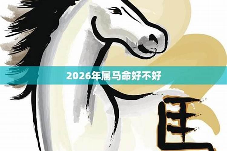 属马的九月初九好不好？