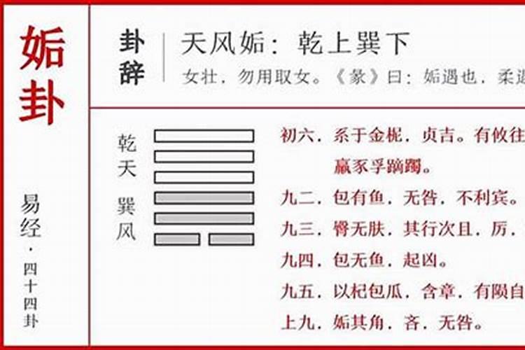 ...本卦 、互卦、变卦分别是天风垢、乾卦、火风鼎,算得是爱情,求高人指...