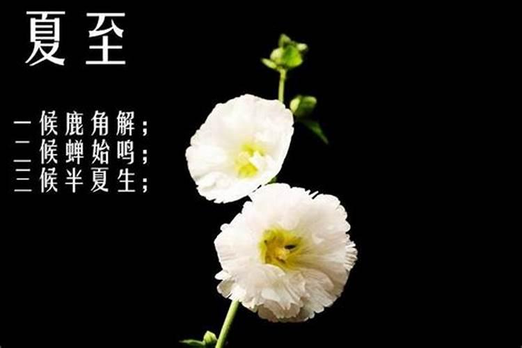 2025年生肖龙运势及运程