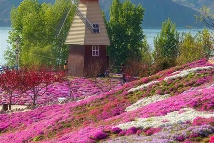 清明节唐山周边哪里赏花