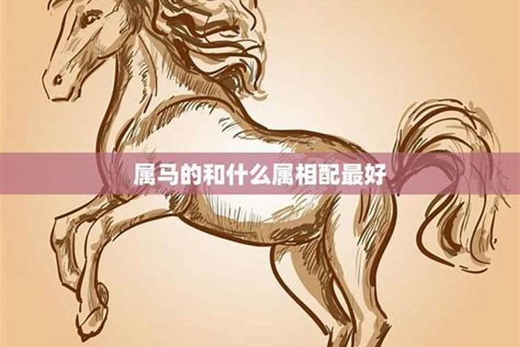 属马的六个合生肖是什么