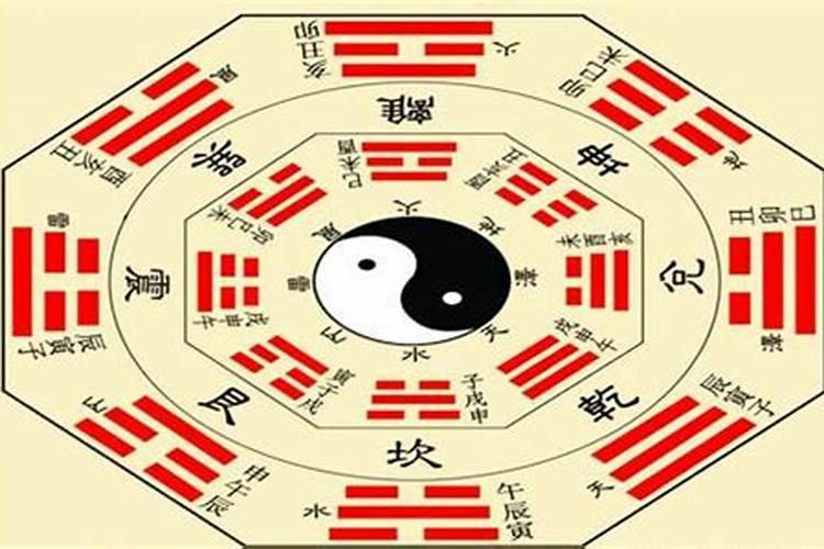 已婚女人梦见满地都是蛇