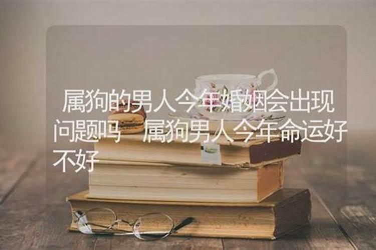 2025年属狗的犯太岁吗