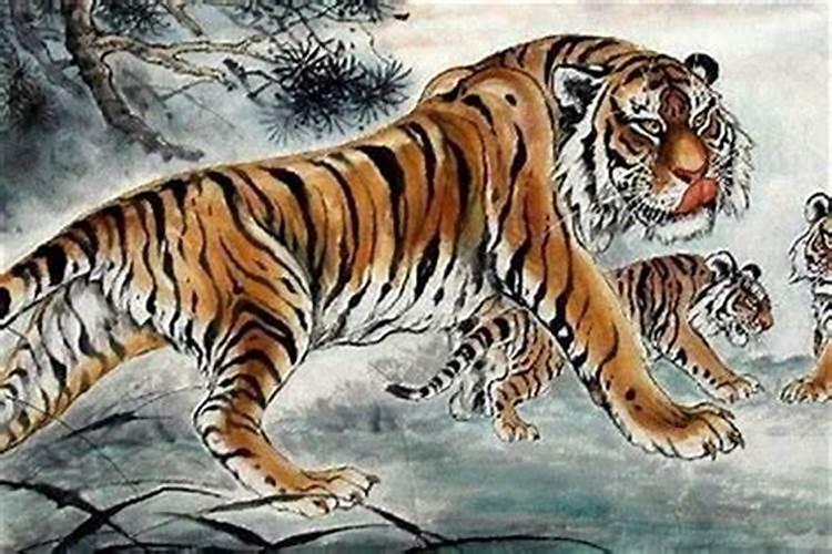 86年属虎2025年属虎人的全年运势