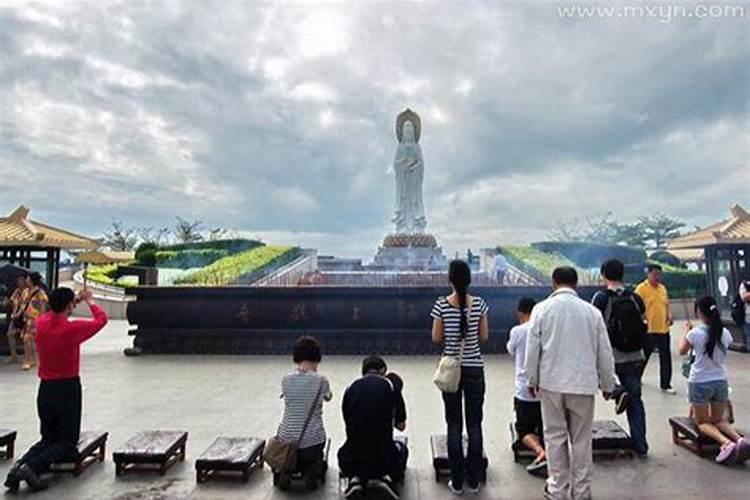 2025年哪些生肖运势最好