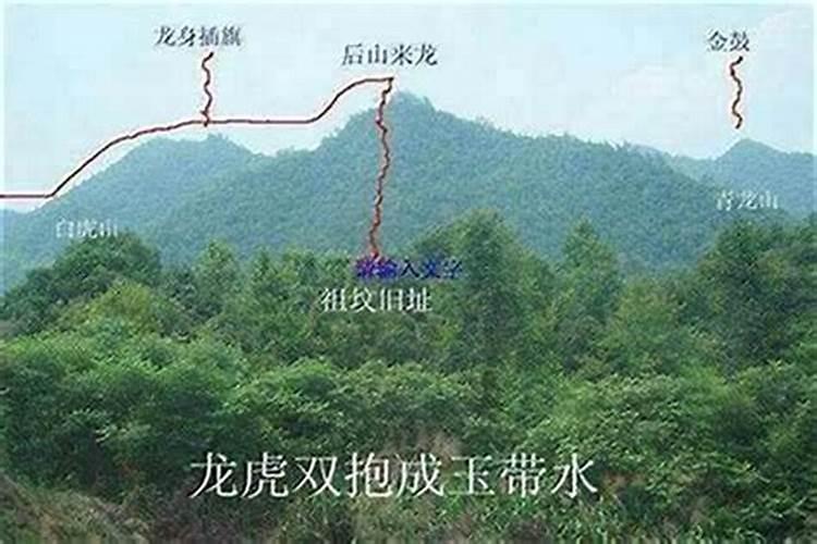 农村风水墓地