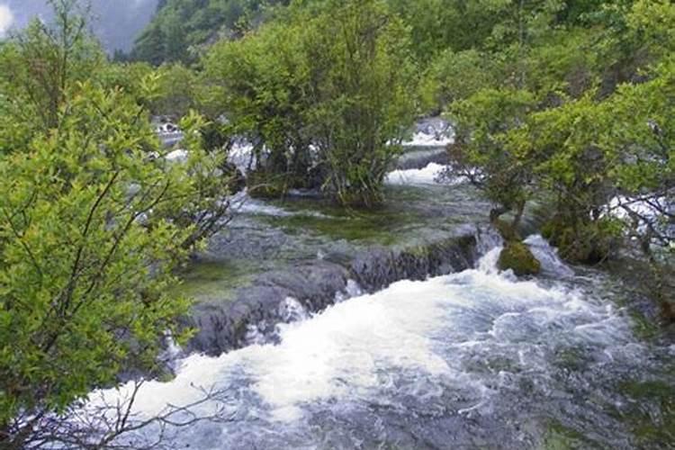 梦到水流是什么意思 梦到水流好不好