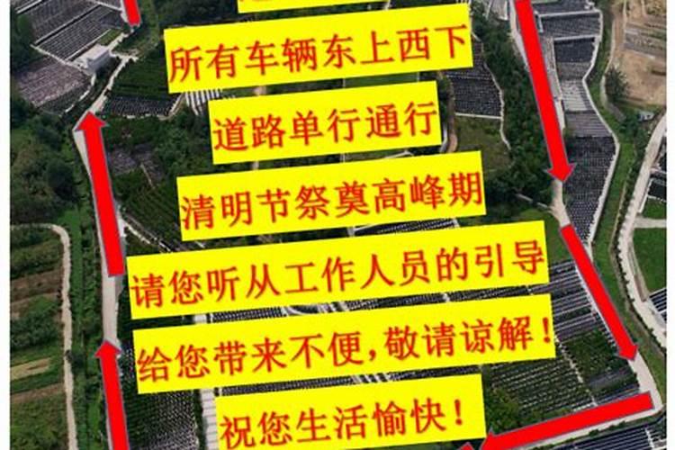 梦见老鼠咬脚趾有什么预兆？是什么意思？