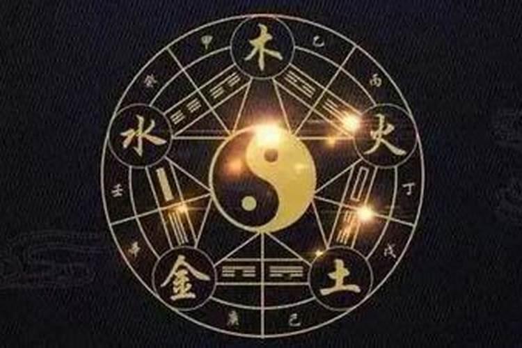 1991年属羊是什么命