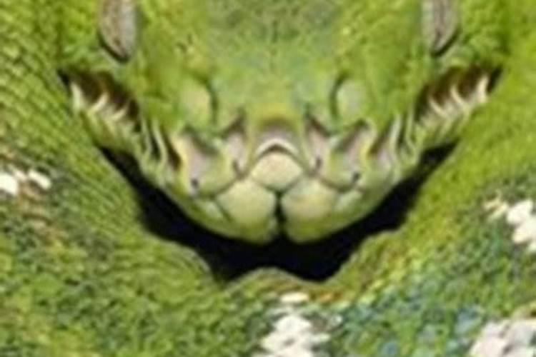 八字算命准确还是紫薇算命准确？