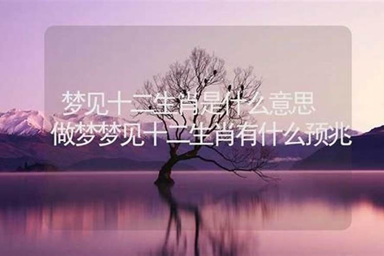 梦到十二生肖什么意思梦到十二生肖有什么征兆