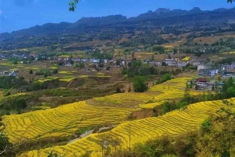 清明适合去哪旅游？