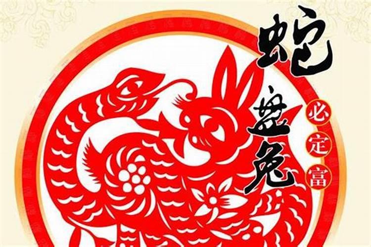 蛇跟兔相配吗？