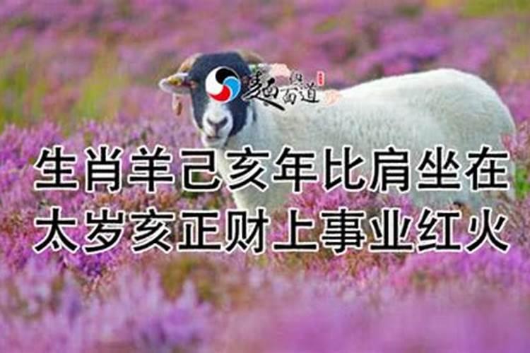 八字十神怪谈:比肩夺财