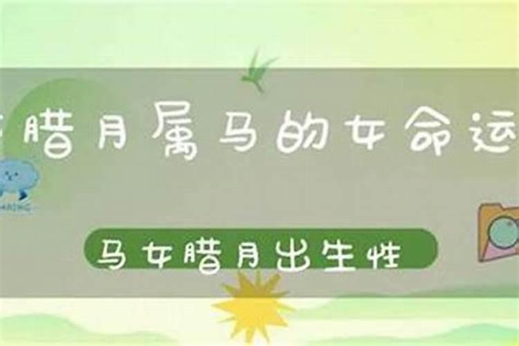 八月马为什么是犯月 属马犯月要怎么化解