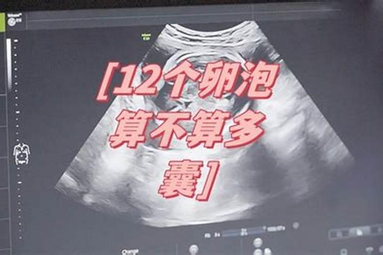 属龙今年犯太岁几月最严重2023 属龙的今年是否犯太岁