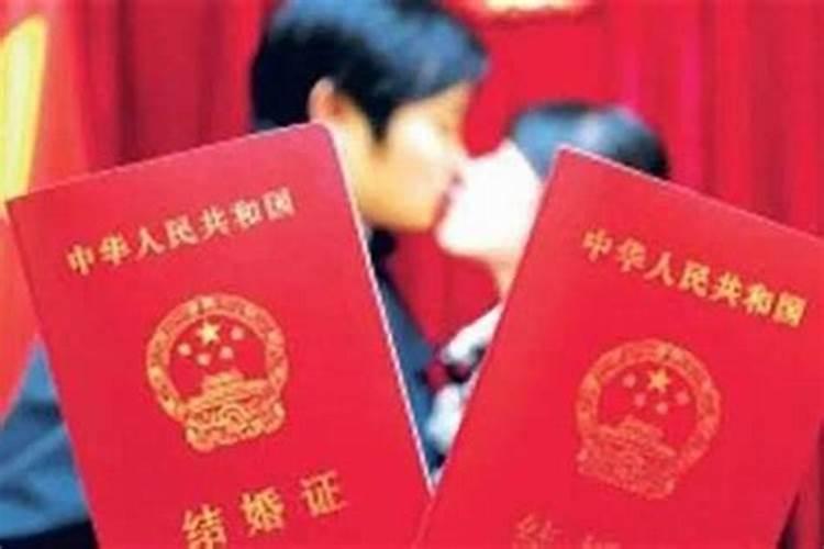 2025年属龙犯太岁吗