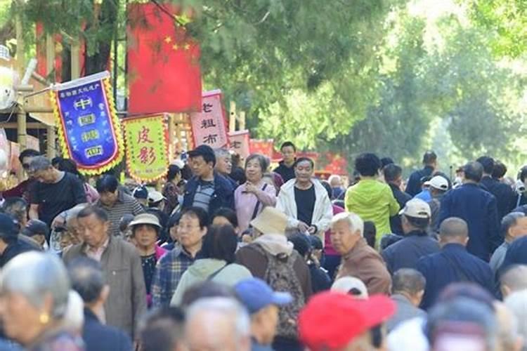 重阳节山东的风俗