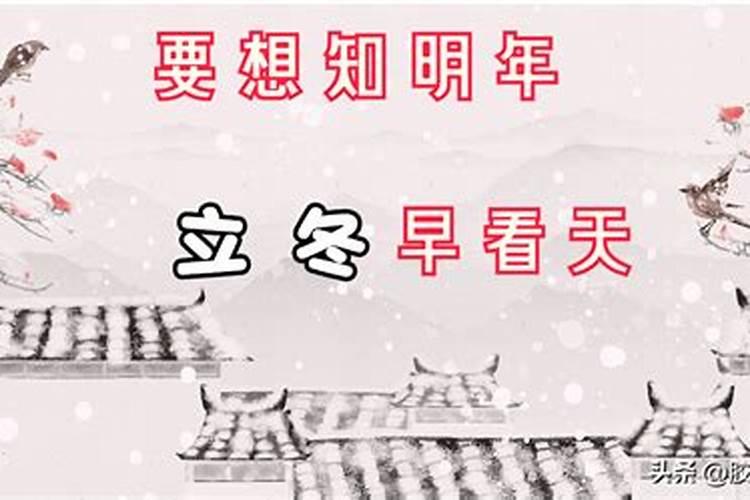 冬至无雨一冬晴什么意思