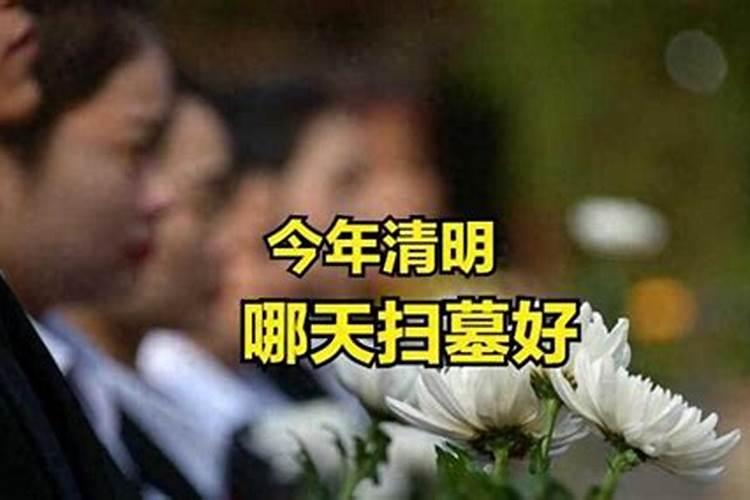 今年清明节几月几日