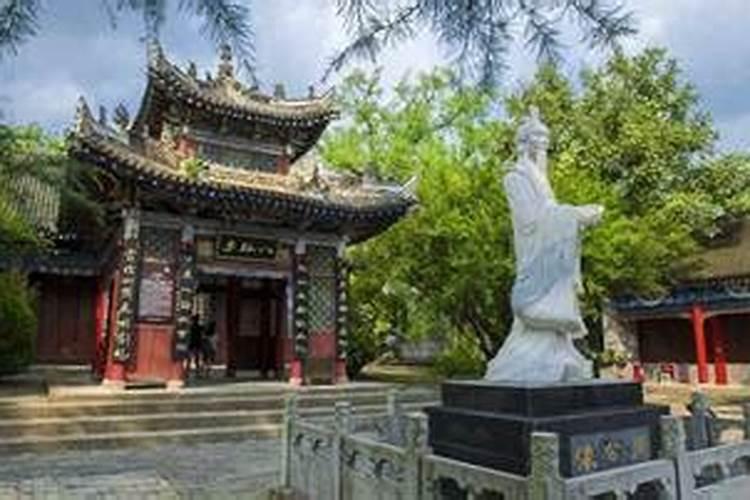 梦见枣树上结了好多红枣是什么意思