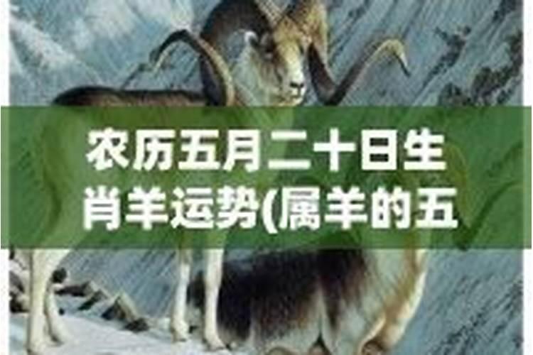 1991年农历5月21属羊女的运程