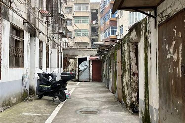 2017年属龙几月出生最好？
