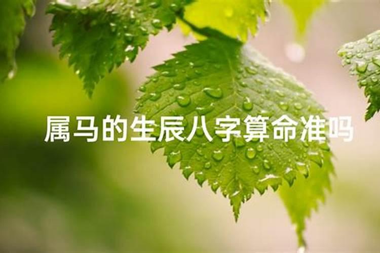 端午节和夏至是一天吗