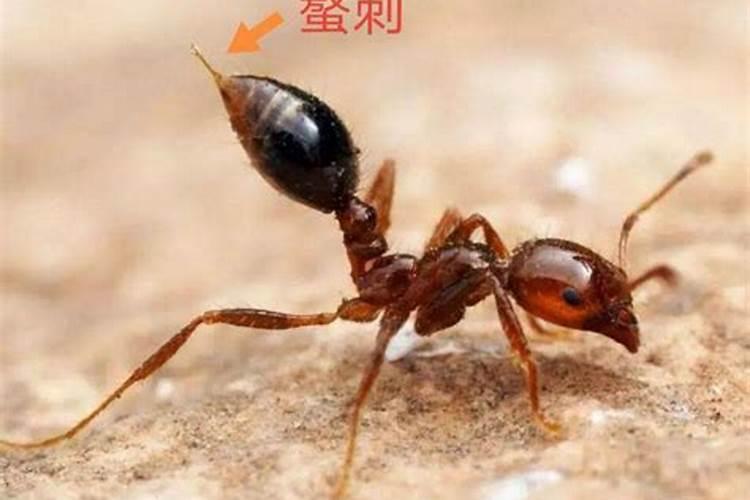 我是农历1989年正月初九的生人,最后一次是五月二十一号来的月经