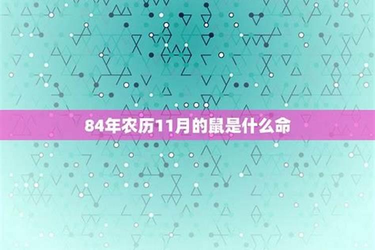 84年农历十一月初三出生的女命运如何？