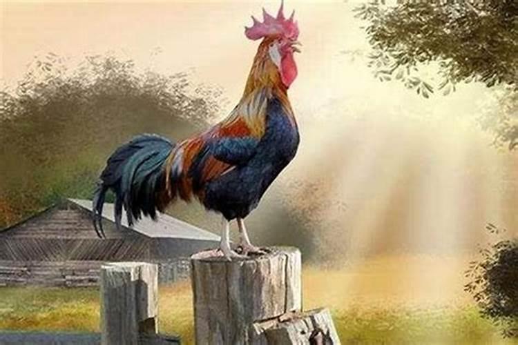 太岁相破是什么意思,克太岁怎么化解