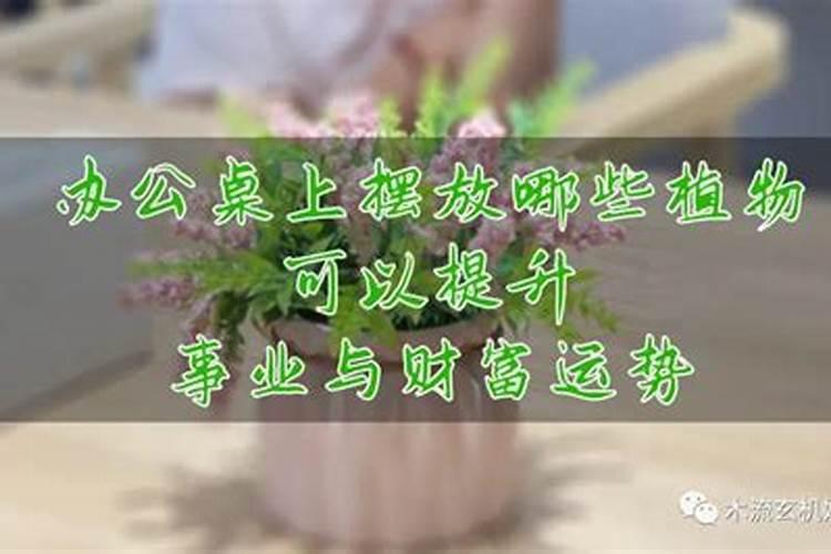 明明自己不会骑自行车,可在梦里很多次梦见在骑自行车,而且好像很开心...
