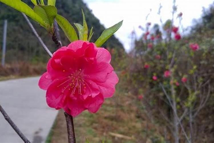 南方立春的民间风俗有哪些