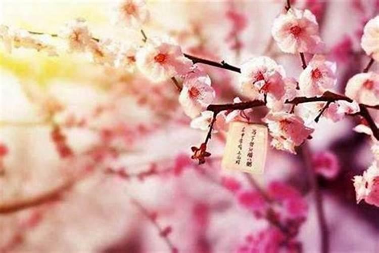 男人催桃花运的9种方法