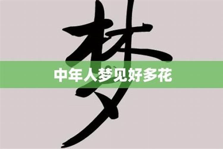 梦见赏花是什么意思？