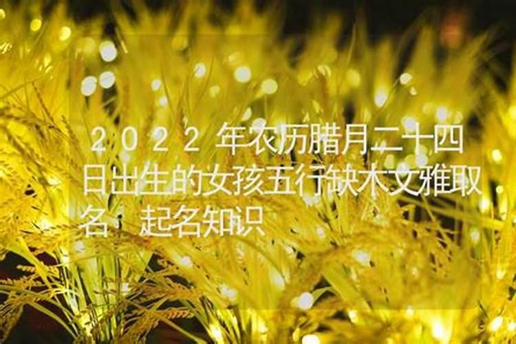 农历腊月二十四出生的女宝宝五行缺火缺水文雅乖巧的名字