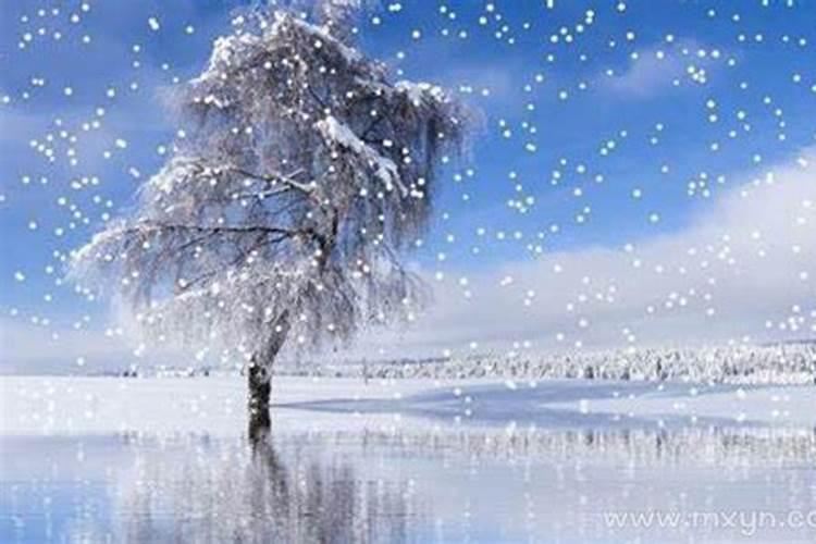 梦见下雪是什么征兆？