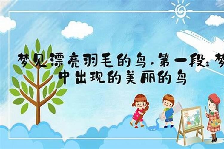 三九八地皆无门打一生肖 解释为什么？