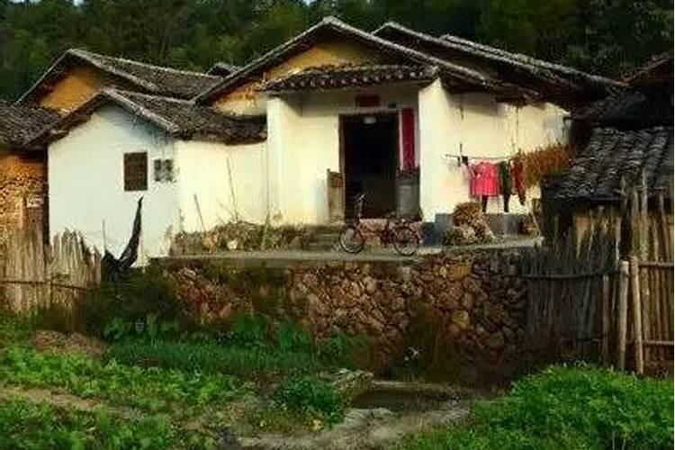 01年的蛇在2025年运气怎么样