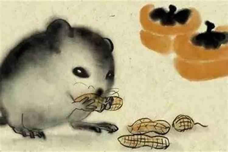 艾菲尔 十二生肖冬至节气运势分析12.2112.27