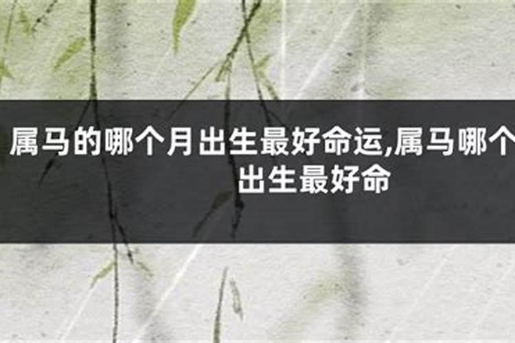 属马的几月出生最好属马人的一生运势