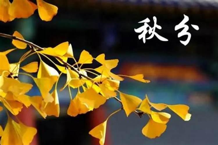 请问春夏秋冬分别在一年的哪几个月