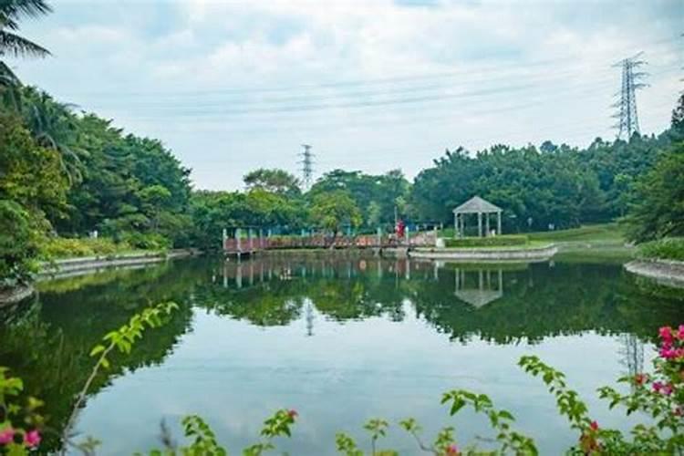 清明节深圳周边城市有什么好玩的地方