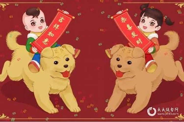 属狗一生命运如何82属狗人的灾难年龄