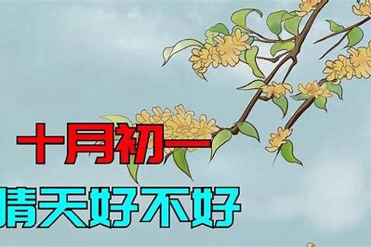 十月初一晴天有什么说法