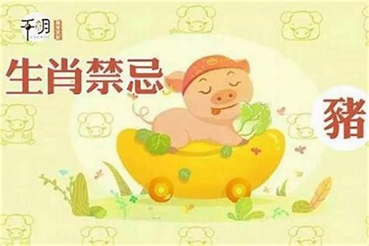 属猪人2025年全年运势及运程