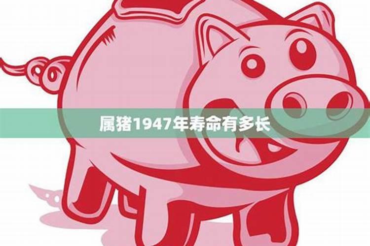 生肖猪1947年2025年运势如何 生肖猪1947年2025年全年运势